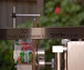 photos-15.jpg